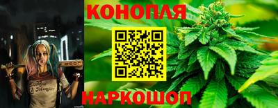 ГАЛЛЮЦИНОГЕННЫЕ ГРИБЫ Тверь