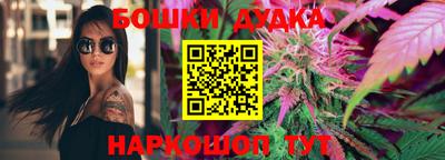 мдпв Татарск