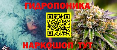 ГАЛЛЮЦИНОГЕННЫЕ ГРИБЫ Тверь